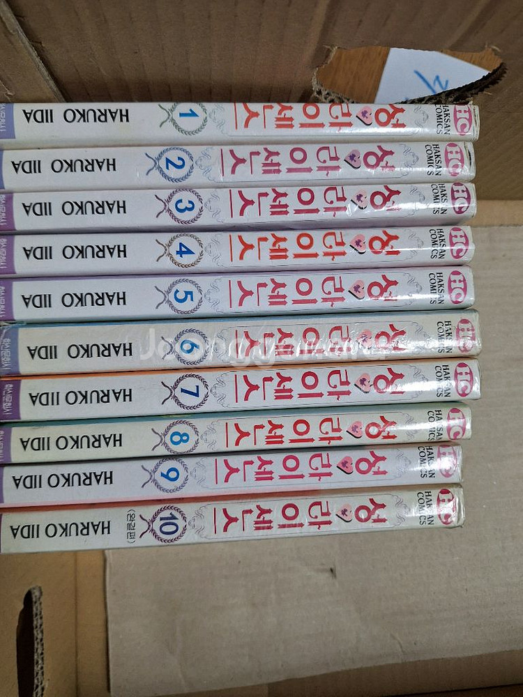 Haruko iida 성라이센스 10권--0
