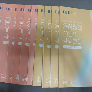 윤혜정의 나비효과