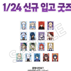 미개봉 원신카페코스튬 스킨ver 증명사진 닐루 케이아