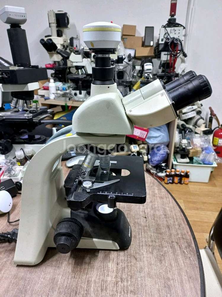OPTIKA ITALY B350 LED 3안현미경 대여--1
