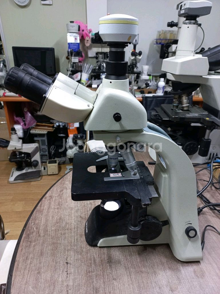 OPTIKA ITALY B350 LED 3안현미경 대여--2