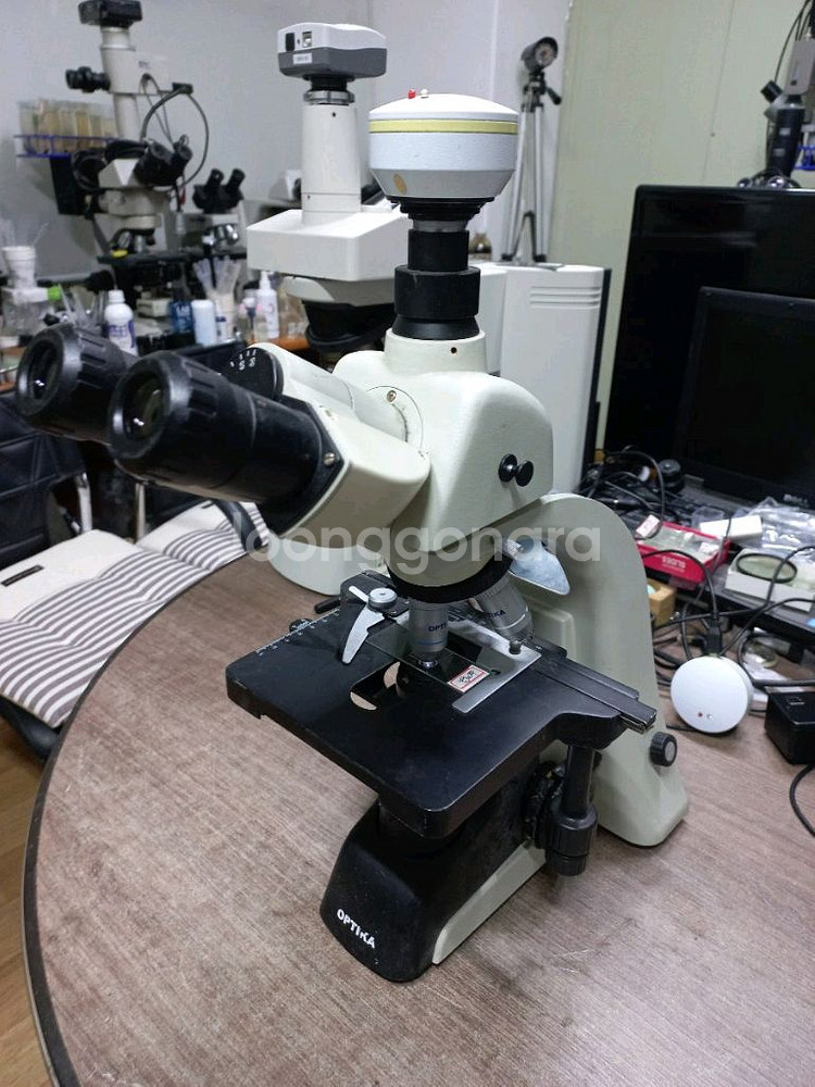 OPTIKA ITALY B350 LED 3안현미경 대여--0