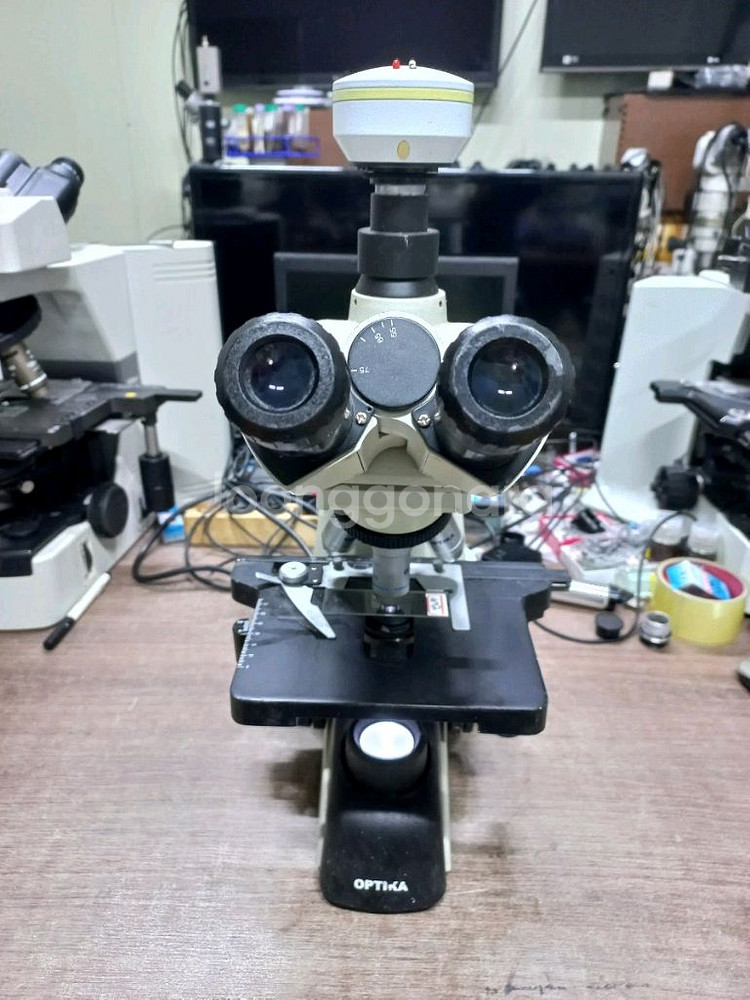 OPTIKA ITALY B350 LED 3안현미경 대여--3