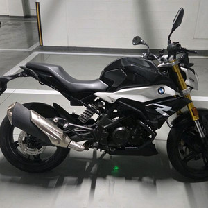 g310r