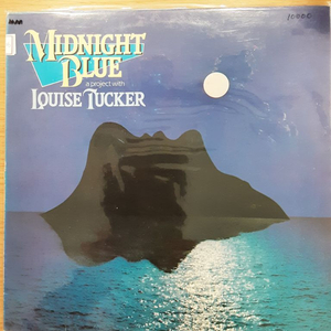 한밤의 블루스 lp