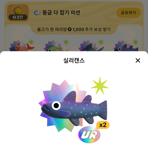 틱톡 라이트 낚시 UR등급 문피시 도루묵 상어 삽니다