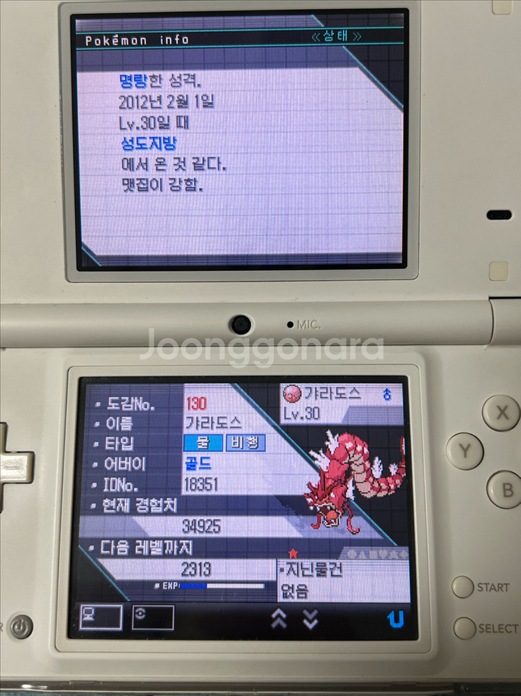 포켓몬스터 블랙 칩--2