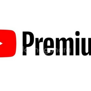 유튜브 프리미엄 12개월