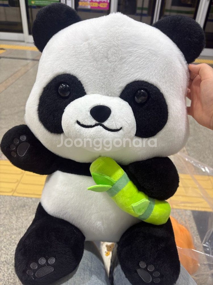 헬로우판다 팬더인형 특대형 팝니다!--0