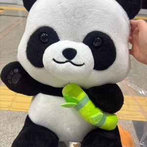 헬로우판다 팬더인형 특대형 팝니다!