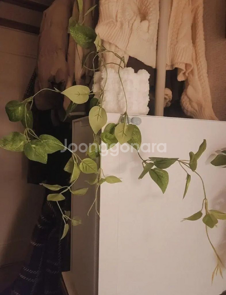 스마일 넝쿨 식물 조화 화분 팟커버 포함--0