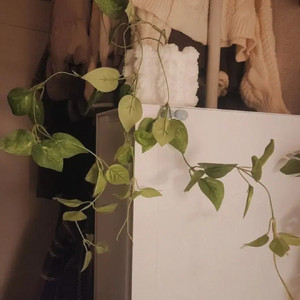 스마일 넝쿨 식물 조화 화분 팟커버 포함