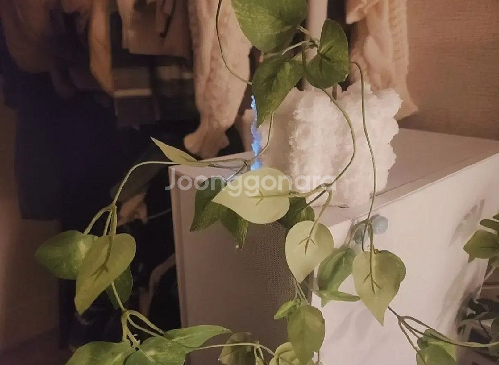 스마일 넝쿨 식물 조화 화분 팟커버 포함--1