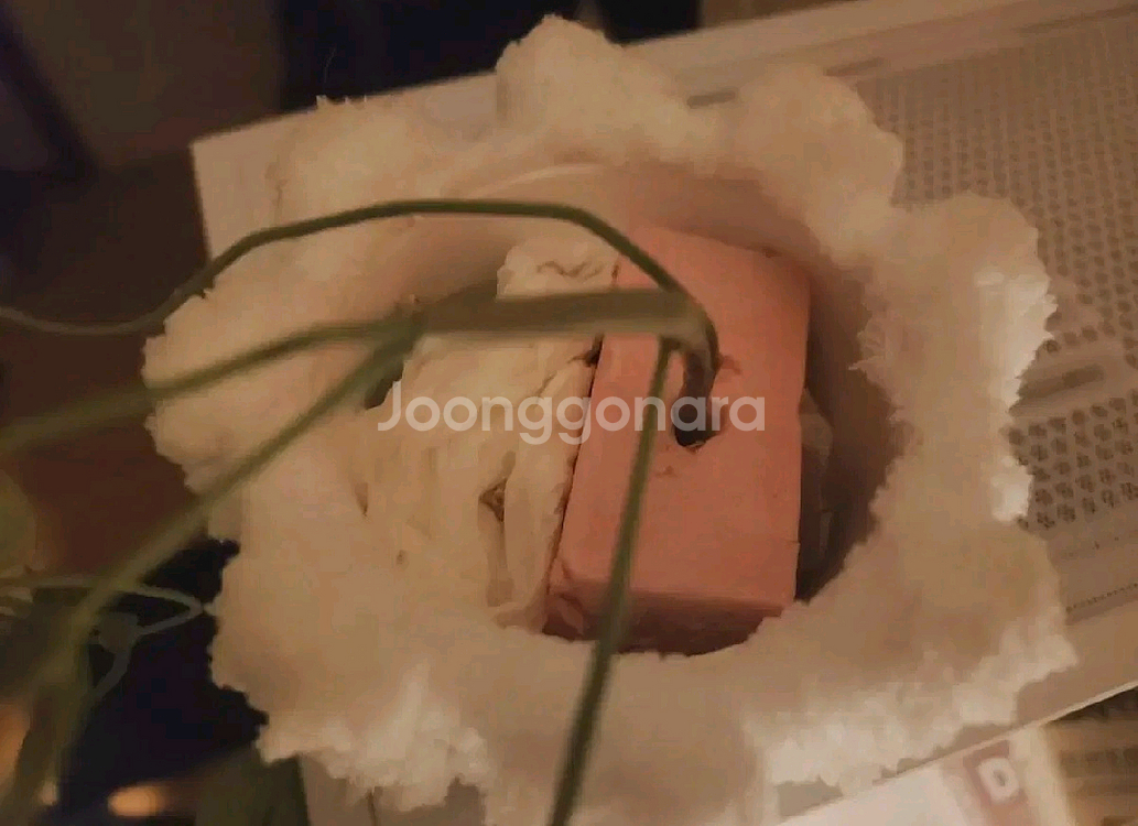 스마일 넝쿨 식물 조화 화분 팟커버 포함--3