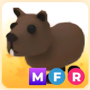 입양하세요 MFR 카피바라