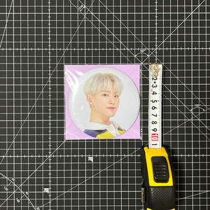 세븐틴 2020 캐럿랜드 호시 대형 핀버튼 핀뱃지