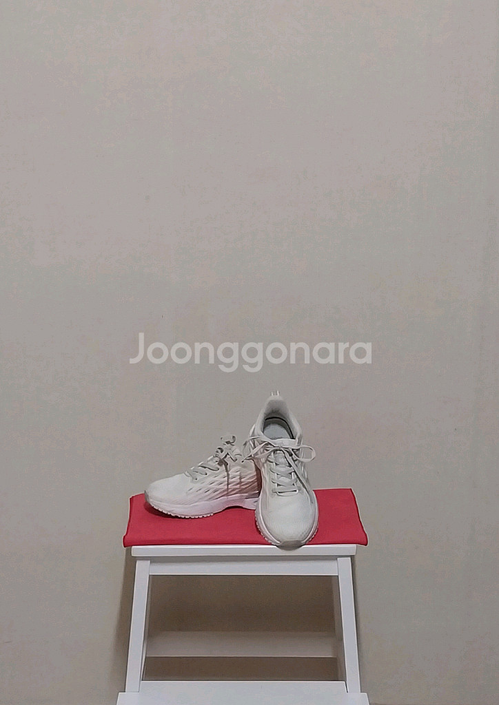 (중고)장미쉘 바스키아 신발 팝니다(245)--0