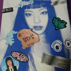 NJZ 뉴진스 블루북 혜인