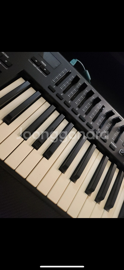 Novation Launchkey 49 미디 키보드--1