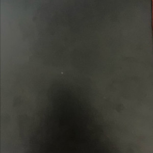 임시