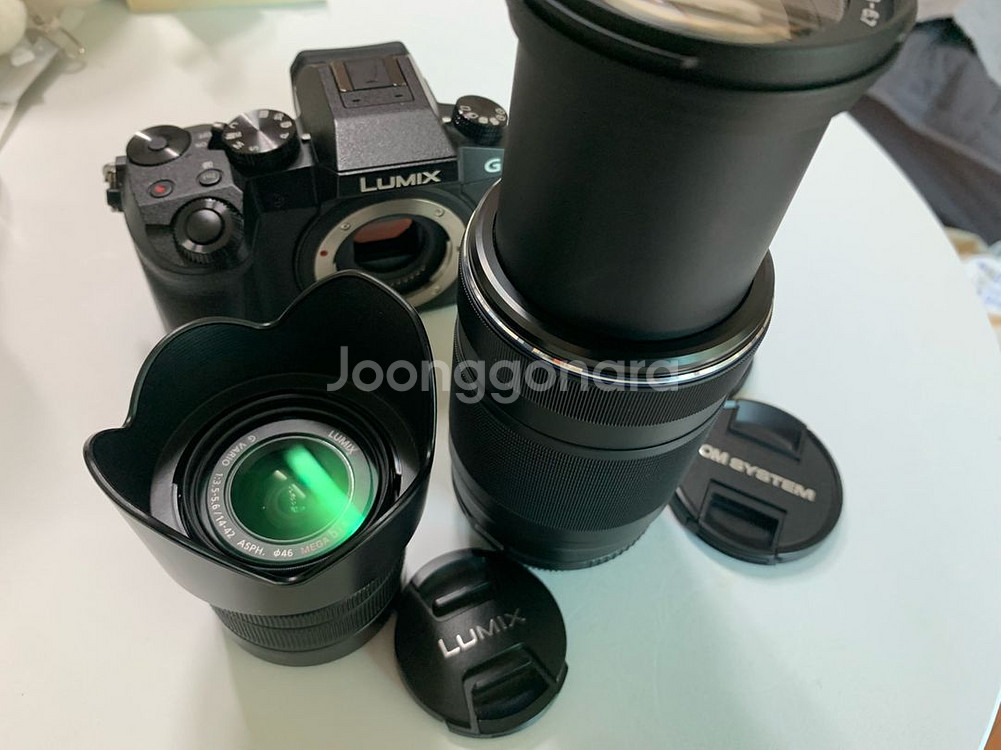 파나소닉 루믹스 G7 + 600mm 렌즈(환산)+ 14--3