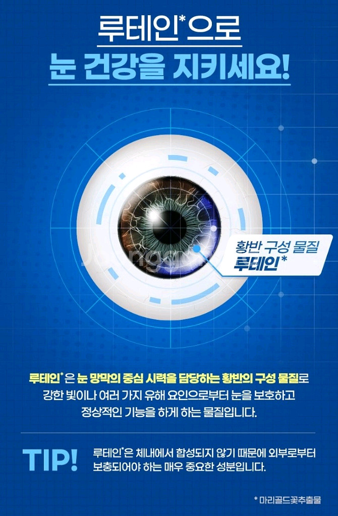 밀튼 33cm 그리들단가 10,900원 초특가홈쇼핑가--2