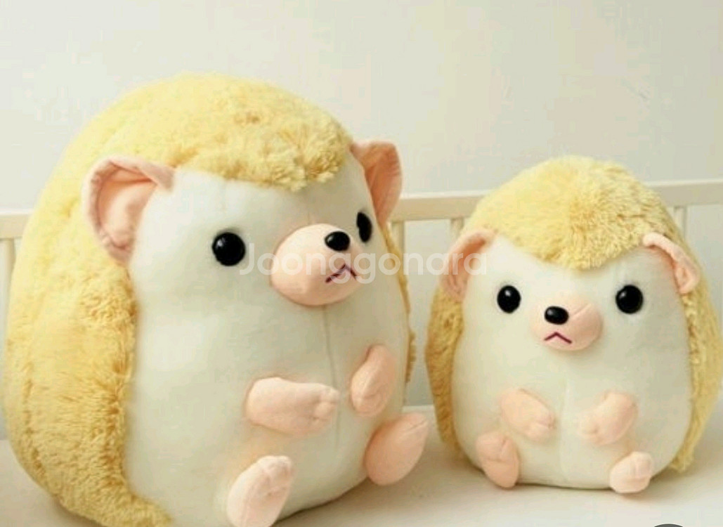 메라 고슴도치 인형--0