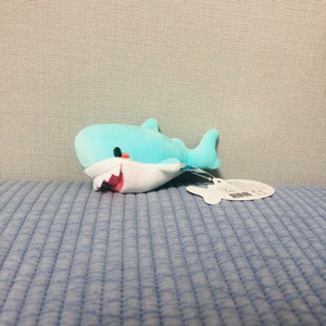 민트 상어 키링