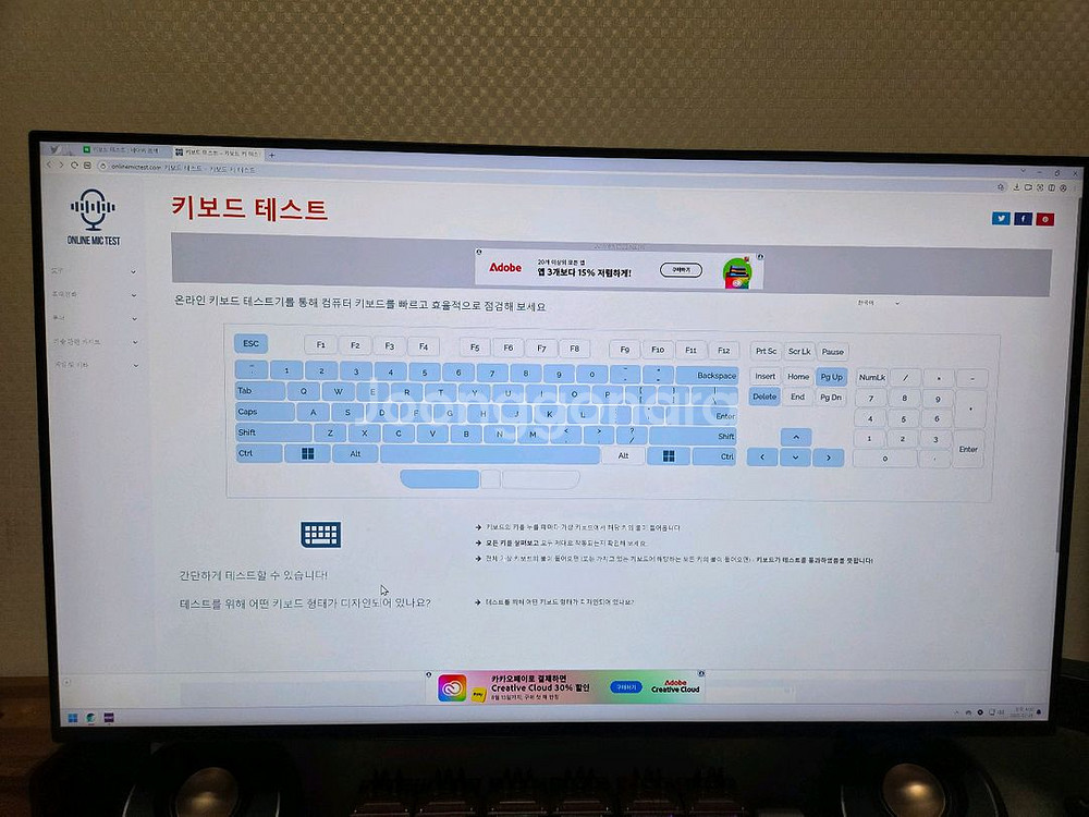 독거미 F65 황축 팝니다--9