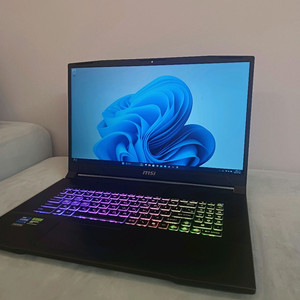 MSI Katana 17 B13VFK 노트북