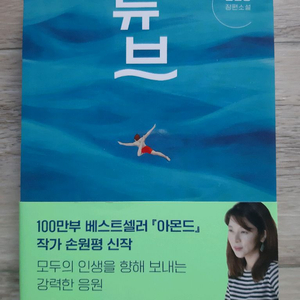 손원평의 <튜브>