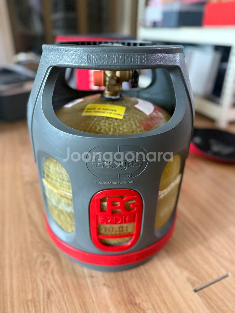 에코가스--1