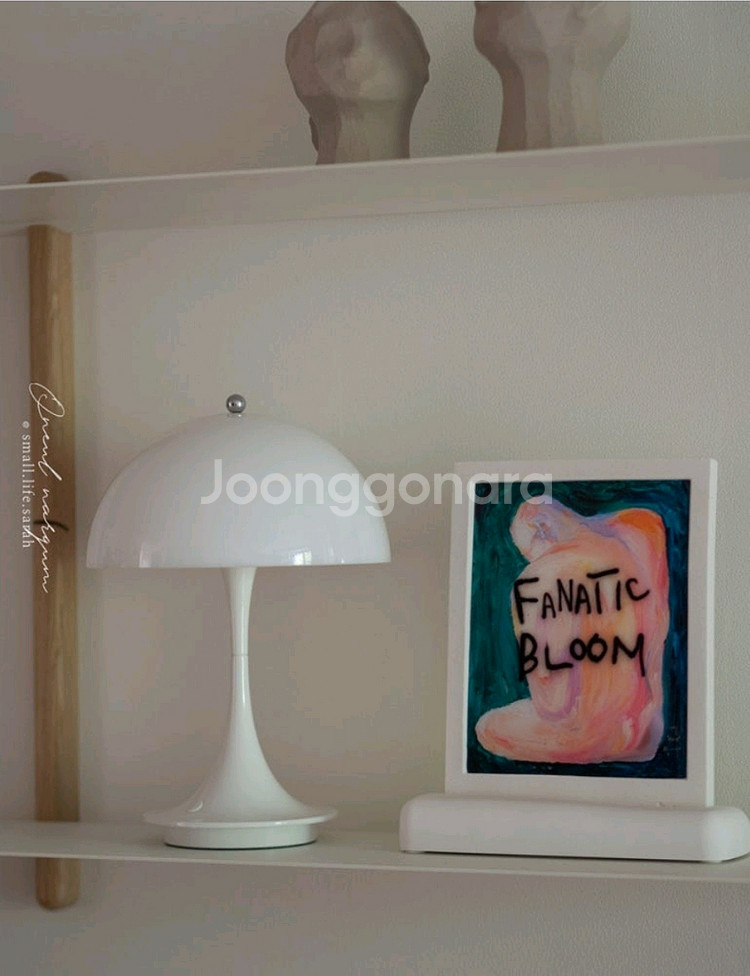 Fanatic Bloom 디퓨저 새상품/2개 있어요--0