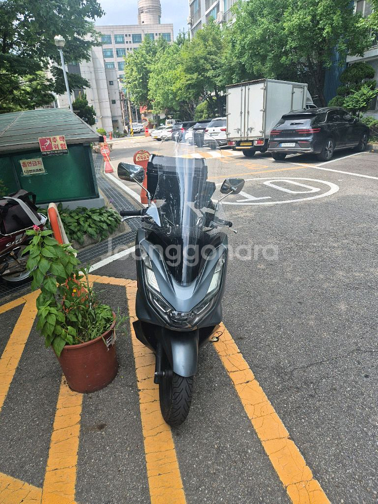 pcx125--1