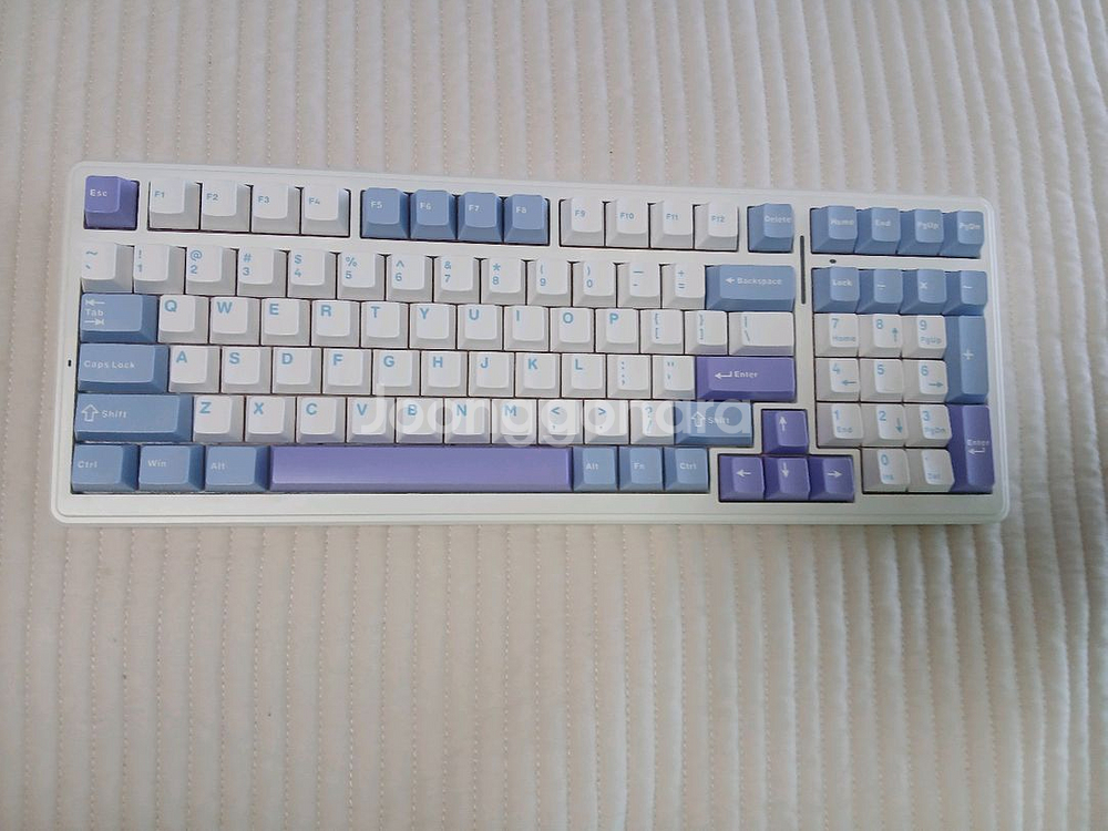 독거미 f99황축--0