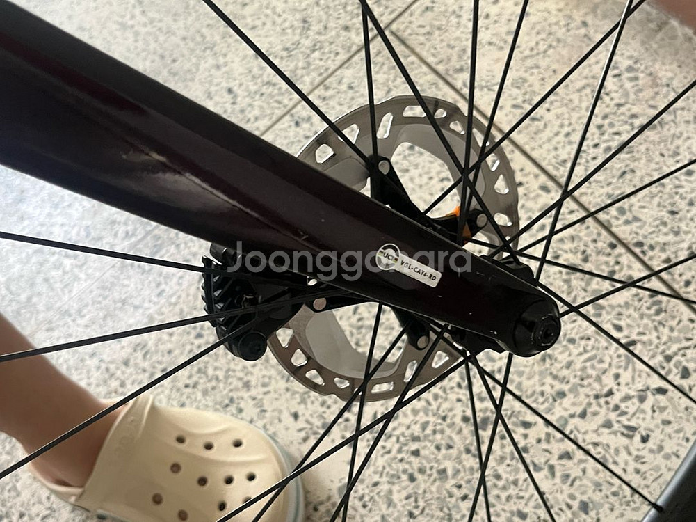 첼로 케인 d7 105di2--1