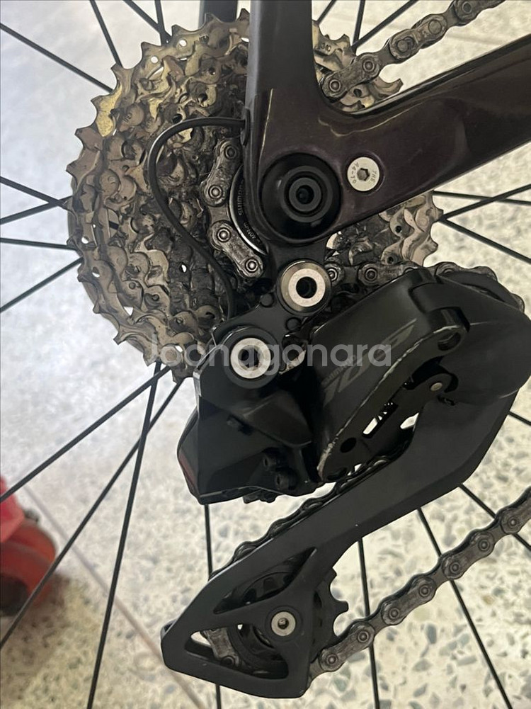 첼로 케인 d7 105di2--3