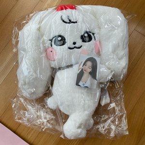 아이브 미니브 체리 장원영 허그 가방 포카 포토카드