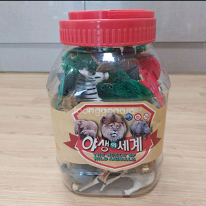 야생의세계. 아동장난감. 모형피규어