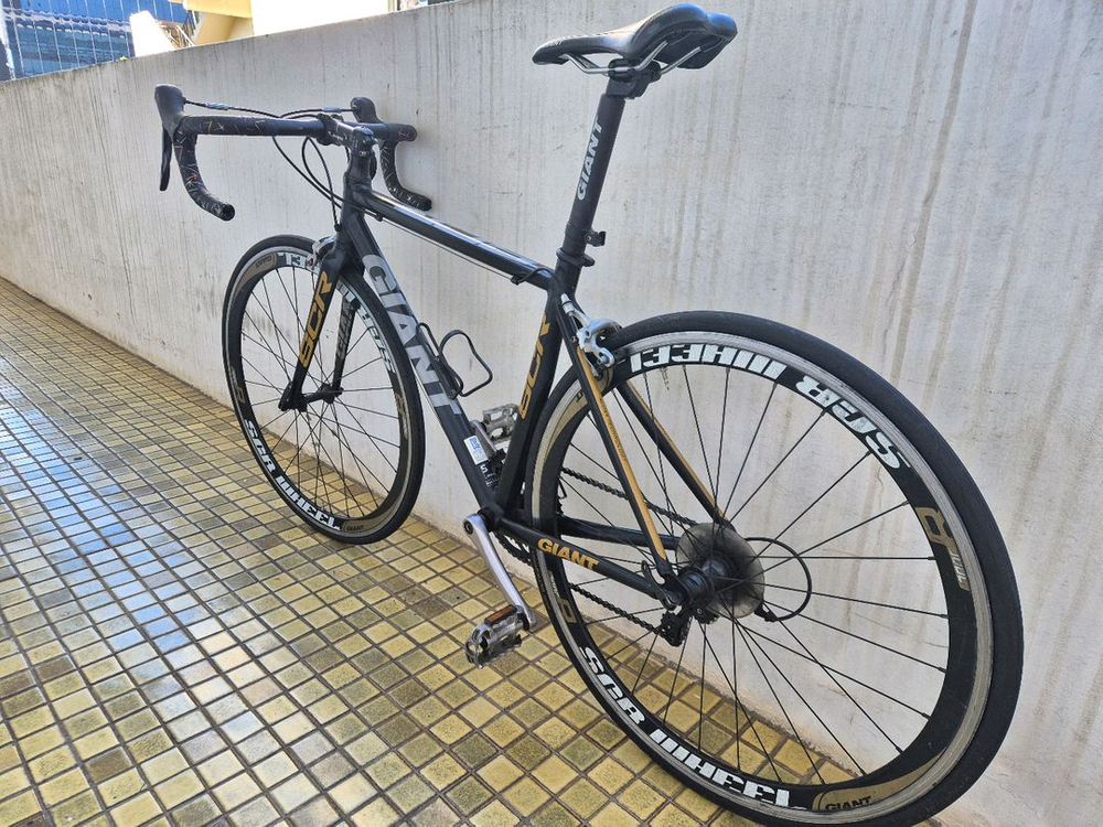 자이언트 scr1--1