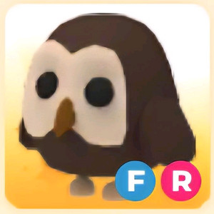 입양하세요 FR 부엉이 (붱)