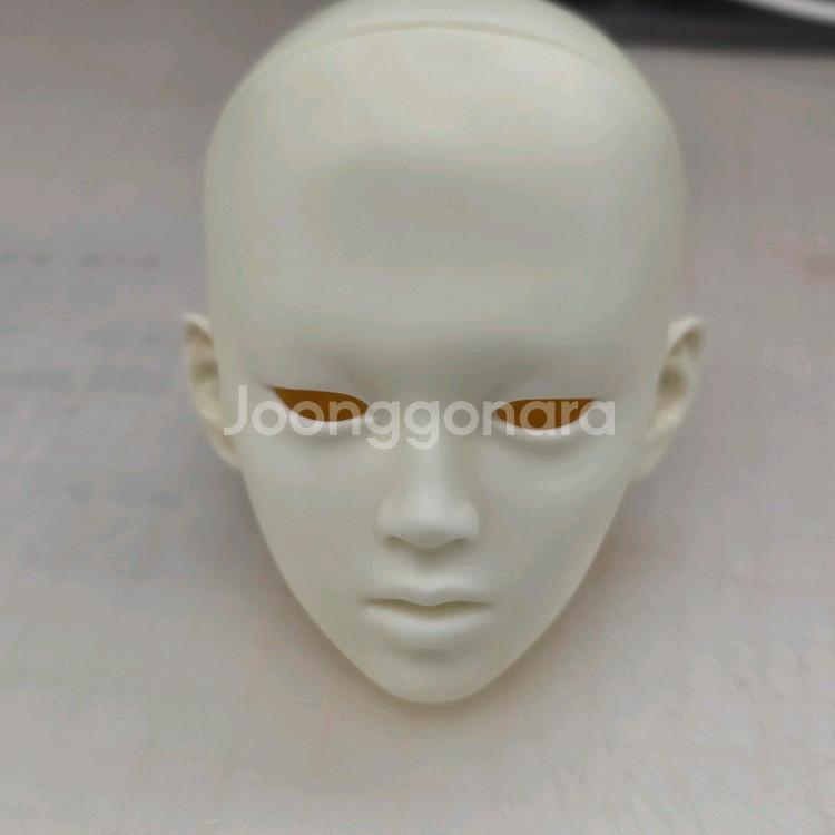 디스턴트 메모리 선호 헤드--0