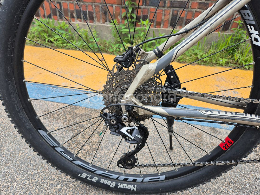 엘파마 익스트림--2