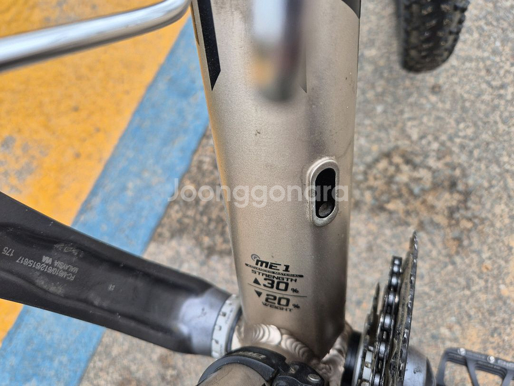 엘파마 익스트림--6