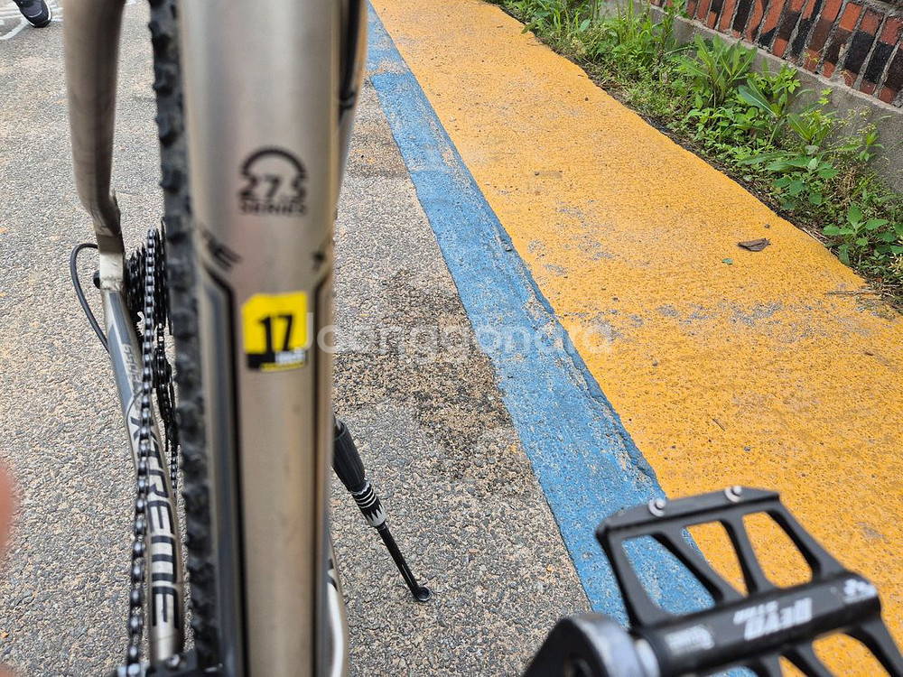 엘파마 익스트림--5