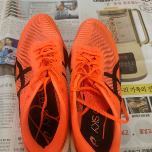 메타스피드 스카이 파리(메스스파)
