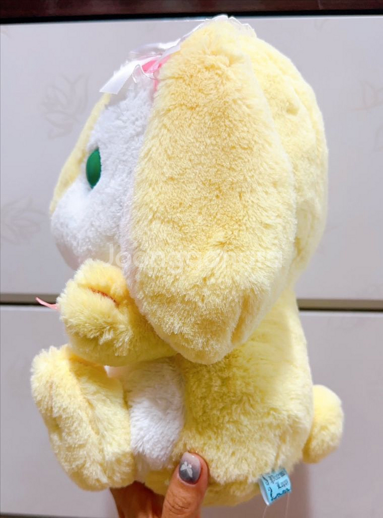 일본정품-토끼인형(롯삐)--2