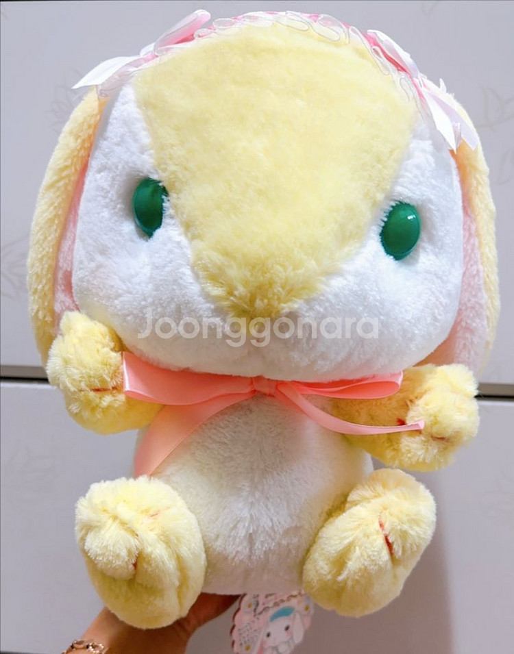 일본정품-토끼인형(롯삐)--0