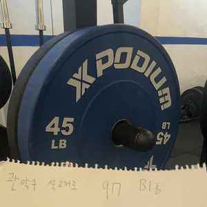 엑스포디움 원판 20kg - 파랑색상