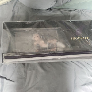 벽람항로 쇼카쿠 순속의 진명
